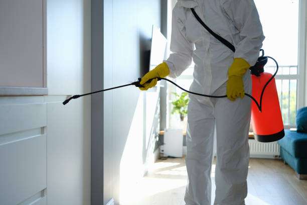 Best Mold Removal Process  in Suamico, WI