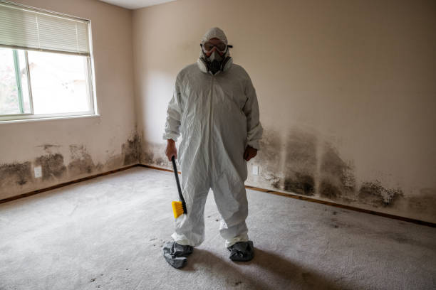 Best Commercial Mold Removal  in Suamico, WI